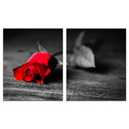 Модульная картина "Ярко-красная роза" из 2 х частей 60х100 GT743