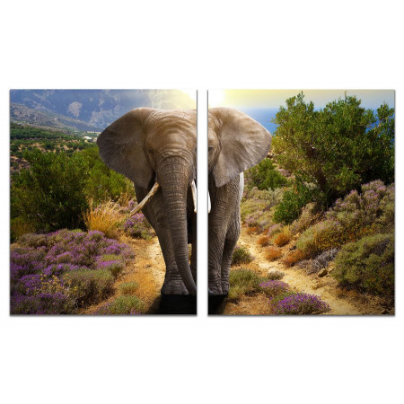 Модульные картины из 2 х частей "Слон в горах"  60х100 GT732