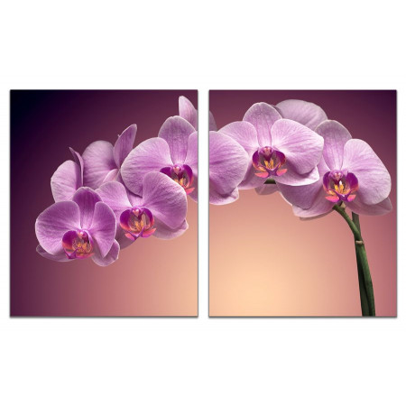 Модульная картина "Веточка орхидеи" из 2 х частей 60х100 GT683
