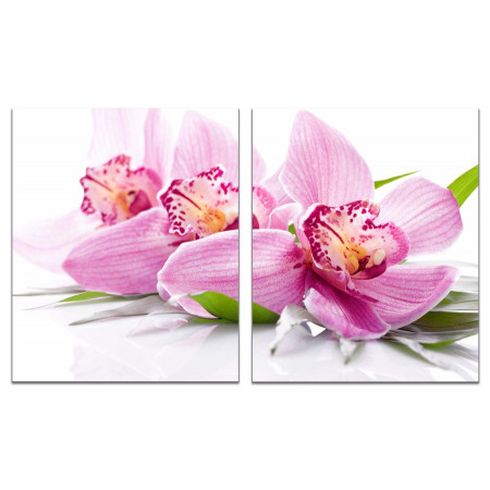 Модульная картина "Нежные цветки орхидеи" из 2 х частей 60х100 GT619
