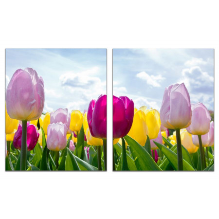 Модульная картина "Весеннее настроение тюльпанов" из 2 х частей 60х100 GT610