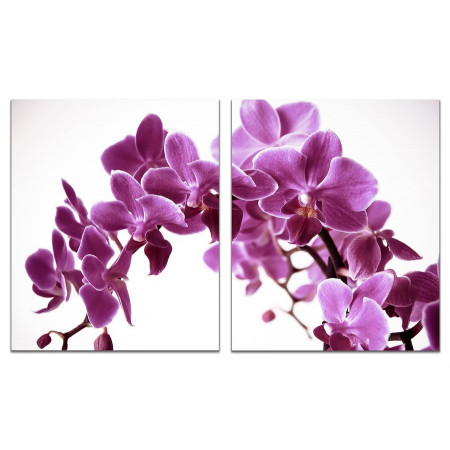 Модульная картина "Арка из орхидей" из 2 х частей 60х100 GT606