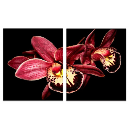Модульная картина "Бордовая орхидея" из 2 х частей 60х100 GT426
