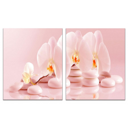Модульная картина "Нежно-розовые орхидеи" из 2 х частей 60х100 GT325