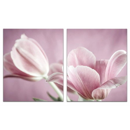 Модульная картина "Бледно-розовые тюльпаны" из 2 х частей 60х100 GT318