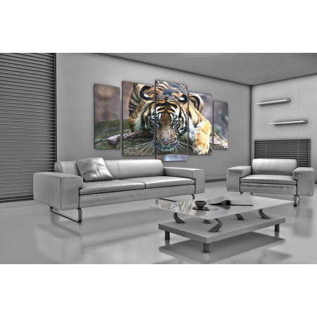 Модульная картина "Тигр с зелеными глазами" 120х250 U347