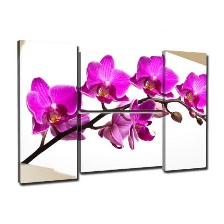 Модульная картина "Ветка орхидеи" четверник 80Х140 Q844
