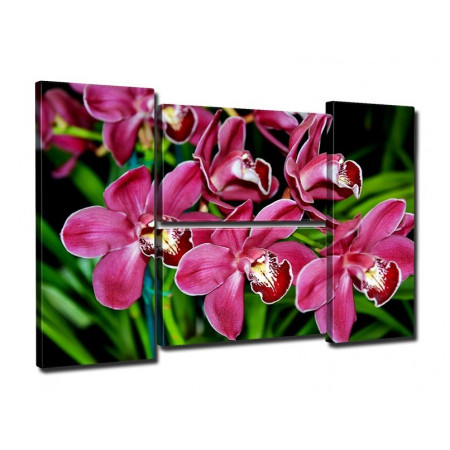 Модульная картина "Бордовые орхидеи" четверник 80Х140 Q793