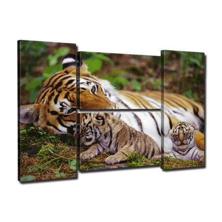Модульная картина "Тигрица и тигрята" четверник 80Х140 Q741