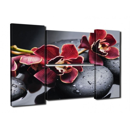 Модульная картина "Бордовые цветки орхидеи на камнях" четверник 80Х140 Q647