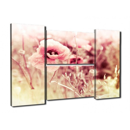 Модульная картина "Нежные розовые маки" четверник 80Х140 Q607