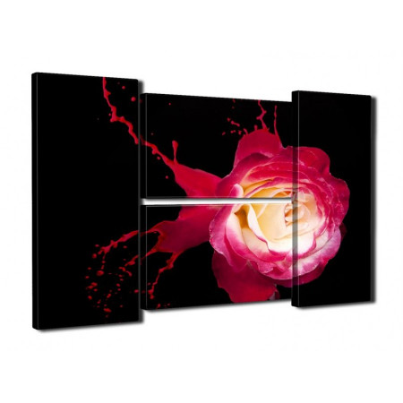 Модульная картина "Роза розовая брызги" четверник 80Х140 Q592