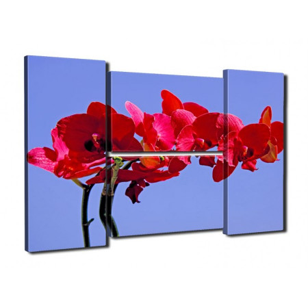 Модульная картина "Красная орхидея на голубом фоне" четверник 80Х140 Q589