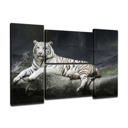 Модульная картина "Величественный белый тигр" четверник 80Х140 Q542