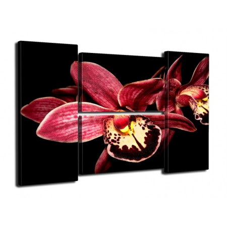 Модульная картина "Бордовая орхидея" четверник 80Х140 Q52