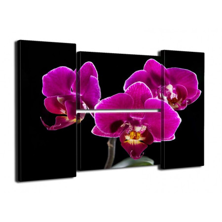 Модульная картина "Божественные орхидеи" четверник 80Х140 Q487