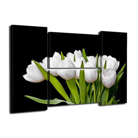 Модульная картина "Букет из белых тюльпанов на черном фоне" Четверник 80Х140 Q477