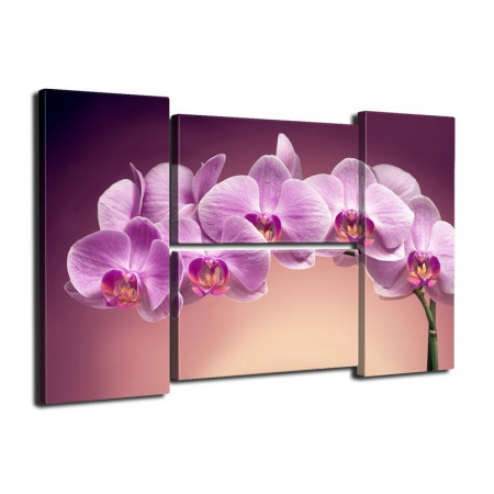 Модульная картина "Веточка орхидеи" четверник 80Х140 Q475