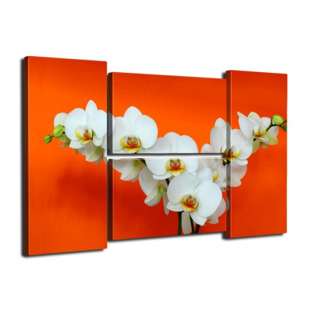 Модульная картина "Веточки орхидеи на оранжевом" четверник 80Х140 Q469