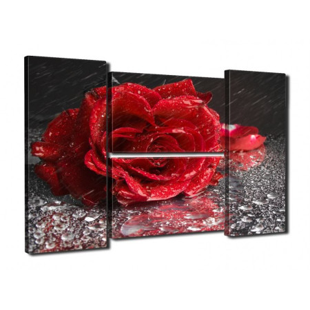 Модульная картина "Роза под дождем" четверник 80Х140 Q361