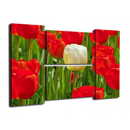 Модульная картина "Белый тюльпан с красными" Четверник 80Х140 Q302