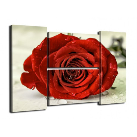 Модульная картина "Красная роза" четверник 80Х140 Q301