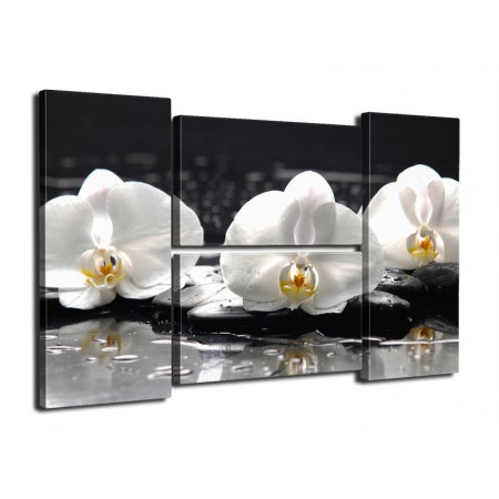 Модульная картина "Белые орхидеи на черных камнях" четверник 80Х140 Q299