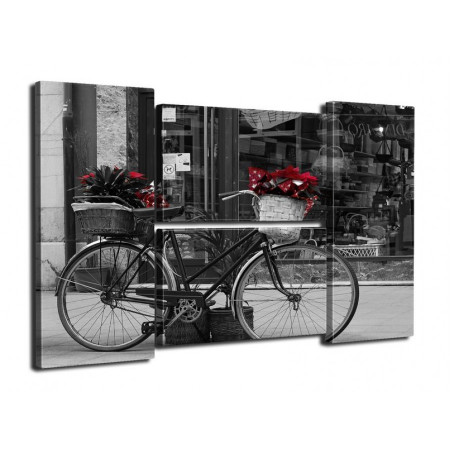 Модульная картина Четверник "Велосипед с цветами" 80Х140 Q241
