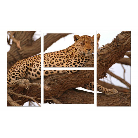 Модульная картина "Леопард на дереве" четверник 100х60 W937