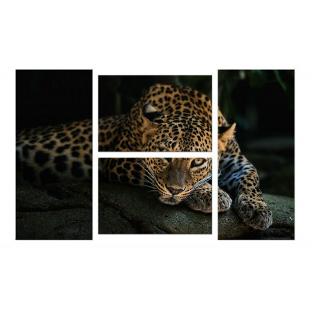 Модульная картина "Ягуар в полумраке" четверник 100х60 W904