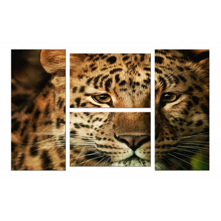 Модульная картина "Взгляд леопарда" четверник 100х60 W855