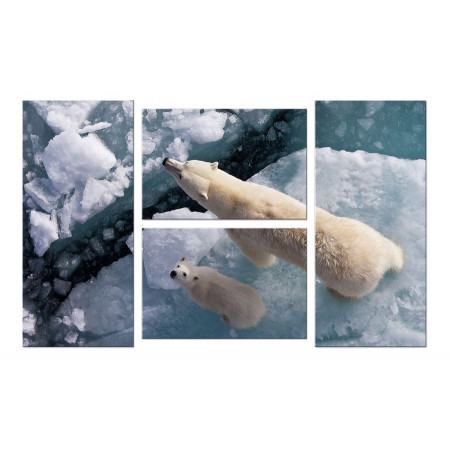 Модульная картина Четверник "Белые медведи" 100х60 W854