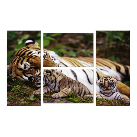 Модульная картина "Тигрица и тигрята" четверник 100х60 W852