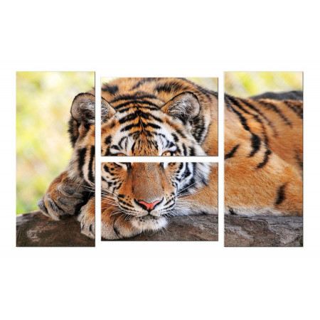 Модульная картина "Взгляд тигра" четверник 100х60 W803
