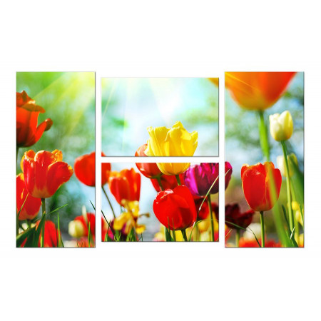Модульная картина "Разноцветные тюльпаны на солнце" четверник 100х60 W761