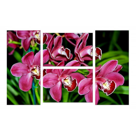 Модульная картина "Бордовые орхидеи" четверник 100х60 W745
