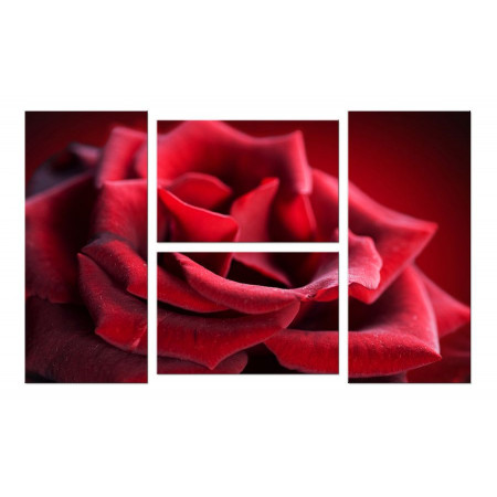 Модульная картина "Нежная красная роза" четверник 100х60 W578