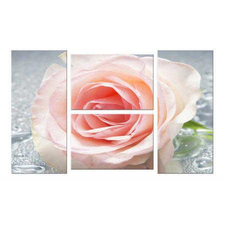 Модульная картина "Хрупкая роза" четверник 100х60 W567