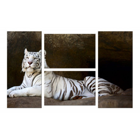 Модульная картина "Белый тигр" 100х60 W525