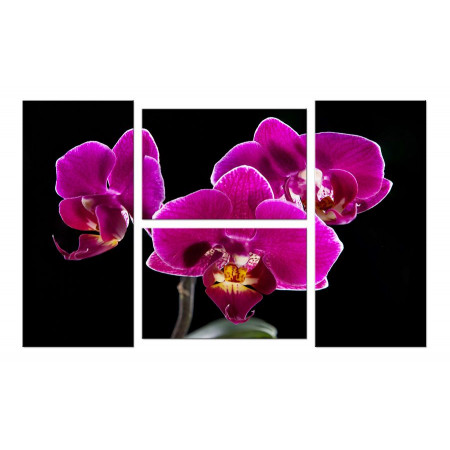 Модульная картина "Божественные орхидеи" четверник 100х60 W475