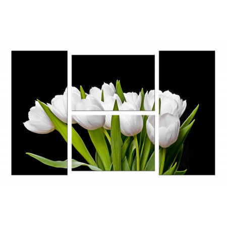 Модульная картина "Букет из белых тюльпанов на черном фоне" Четверник 100х60 W465