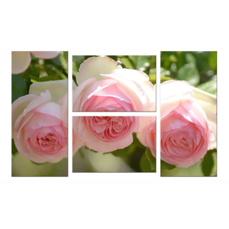 Модульная картина "Нежные розы" четверник 100х60 W445
