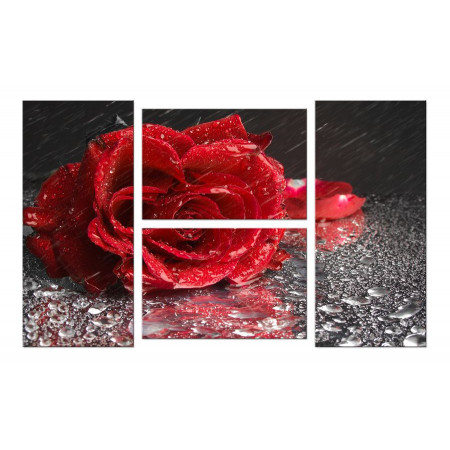 Модульная картина "Роза под дождем" четверник 100х60 W351