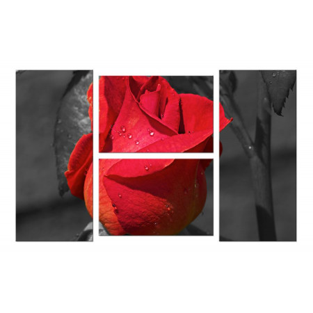 Модульная картина "Бутон розы" четверник 100х60 W348