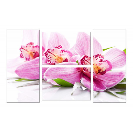 Модульная картина "Нежные цветки орхидеи" четверник 100х60 W331