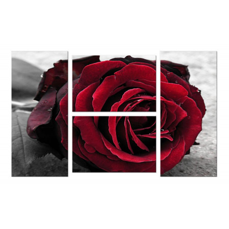 Модульная картина "Крупная роза" четверник 100х60 W294