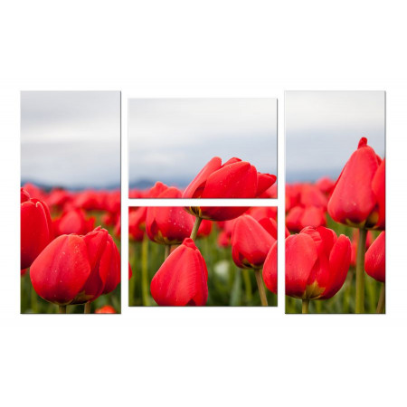 Модульная картина "Красные тюльпаны" Четверник 100х60 W293