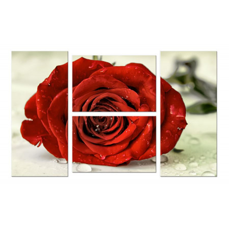 Модульная картина "Красная роза" четверник 100х60 W291