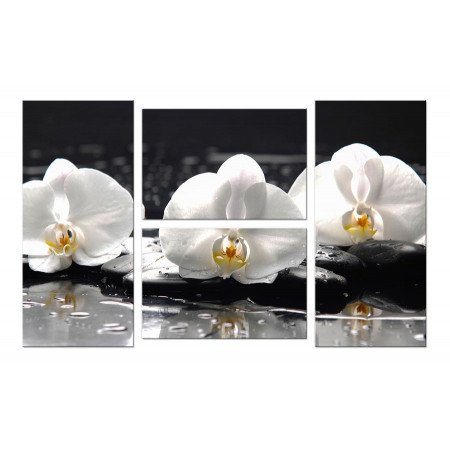 Модульная картина "Белые орхидеи на черных камнях" четверник 100х60 W289