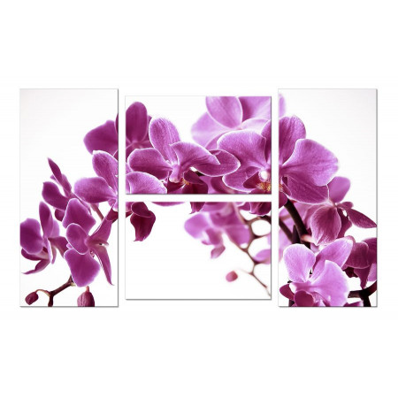 Модульная картина "Арка из орхидей" четверник 100х60 W285